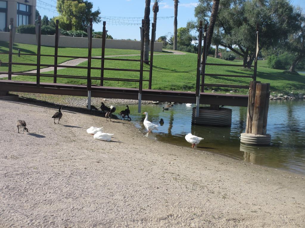 Mccormick Ranch Golf Villa Scottsdale Exterior foto